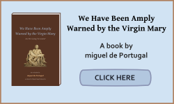 We Have Been Amply Warned by the Virgin Mary. Are We Going To Listen? - The Book